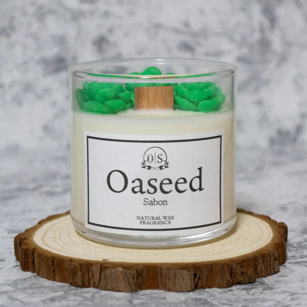 多肉植物キャンドル|サボンの香り|木芯タイプ