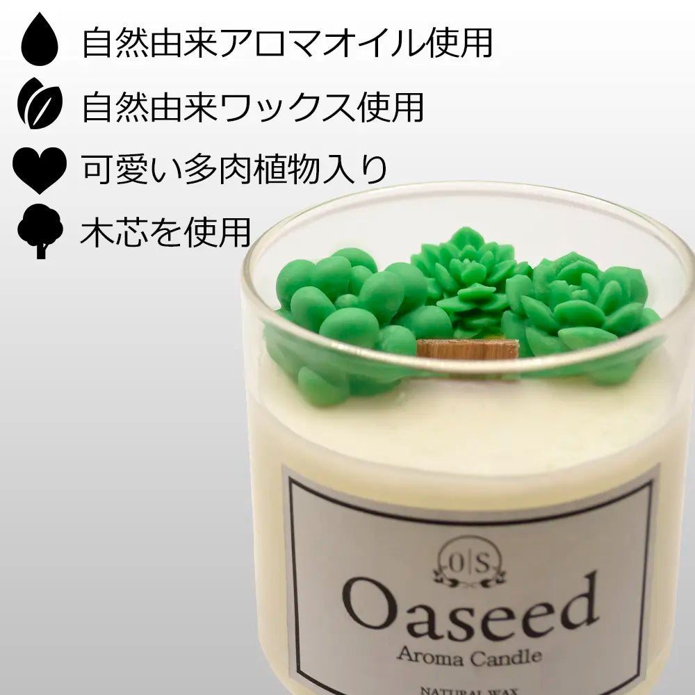 多肉植物キャンドル｜木芯タイプ